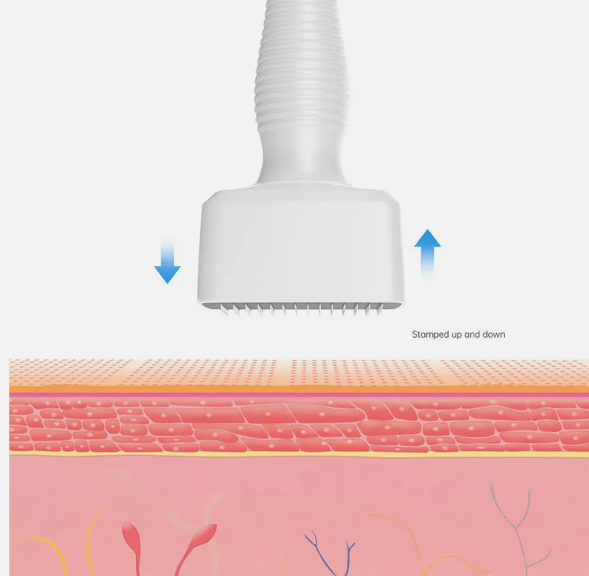 Hair Growth Dermastamp